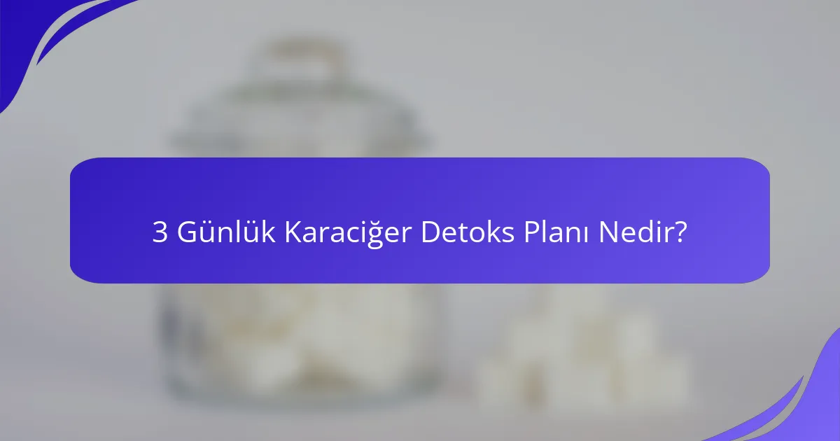 3 Günlük Karaciğer Detoks Planı Nedir?