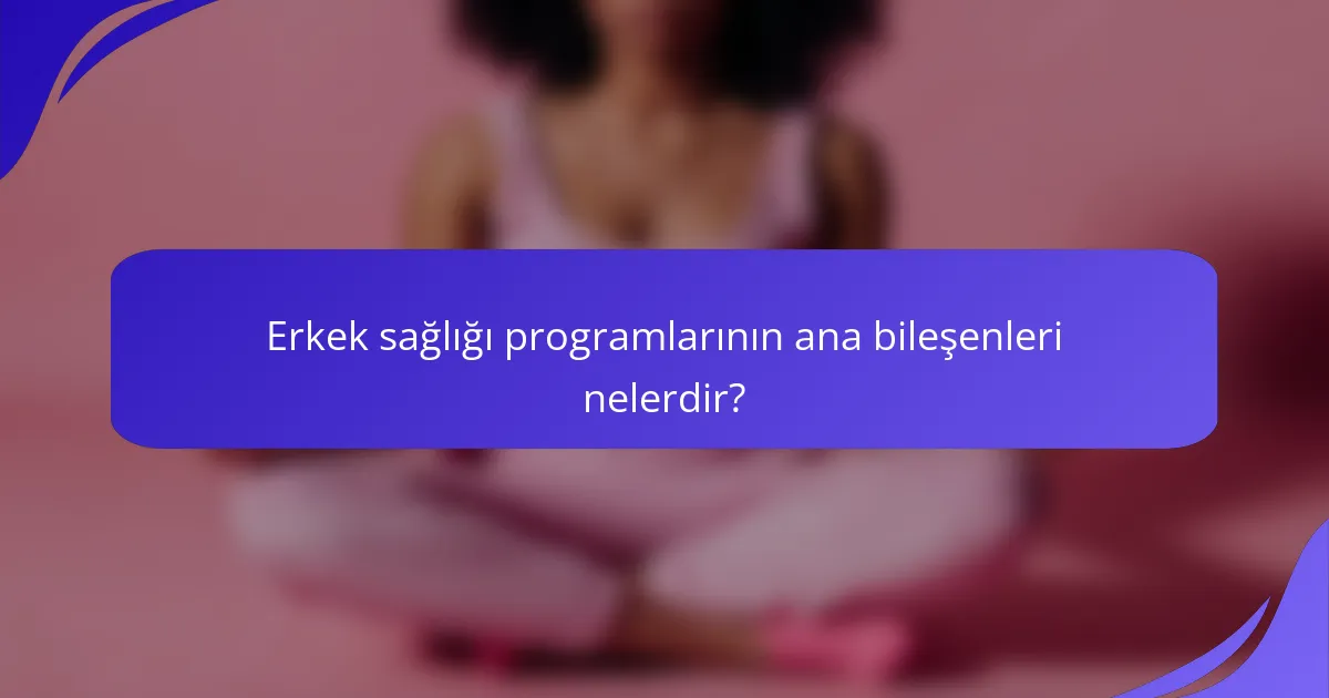 Erkek sağlığı programlarının ana bileşenleri nelerdir?
